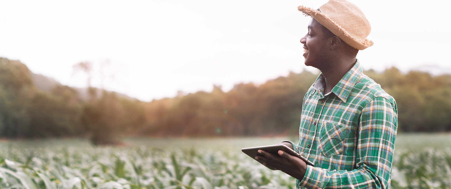 Digital Transformation A Priority For SA Businesses DBSA